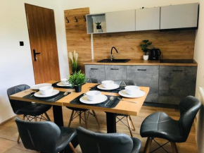 Loft Wisla Houses
